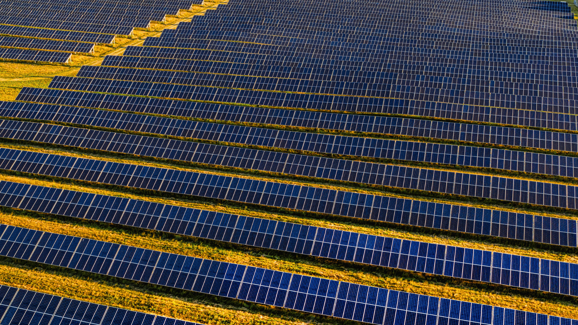 Stock image of a solar farm