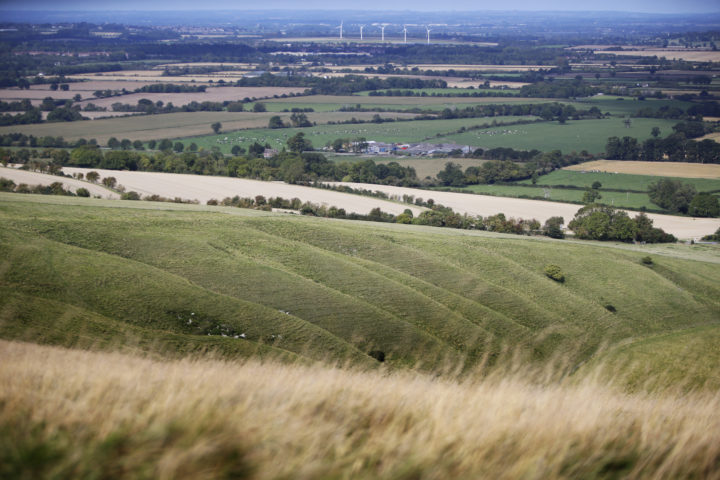 A picture of White Horse Hill in Uffington, featuring wind turbines in the distance