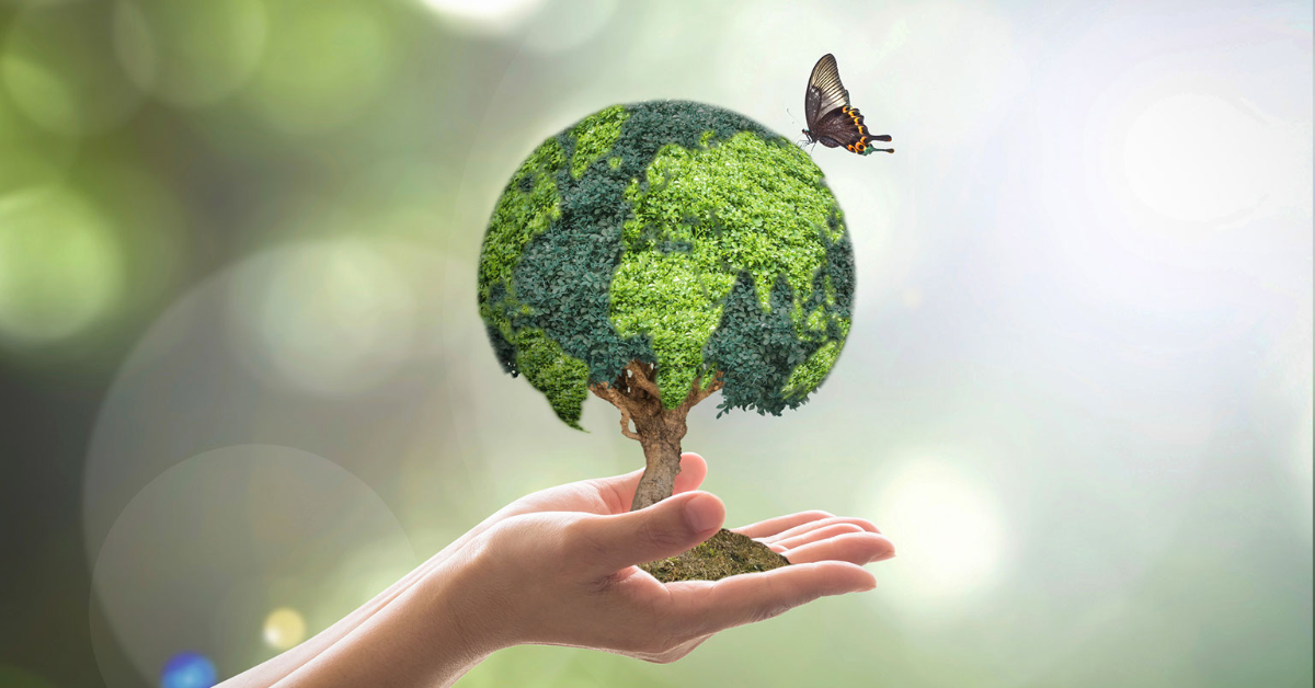 An image of a hand holding a illustrative tree where the leaves show the image of the globe. a butterfly sits on top of the tree