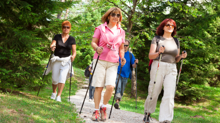 A group of people outdoors Nordic walking