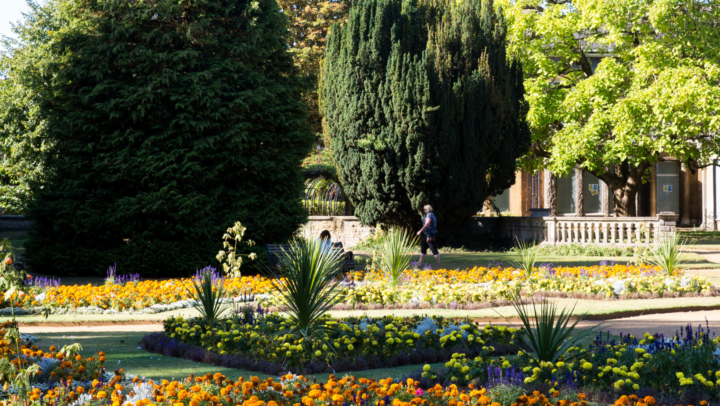 A photo of flowers and trees in Abingdon Garden in Abingdon