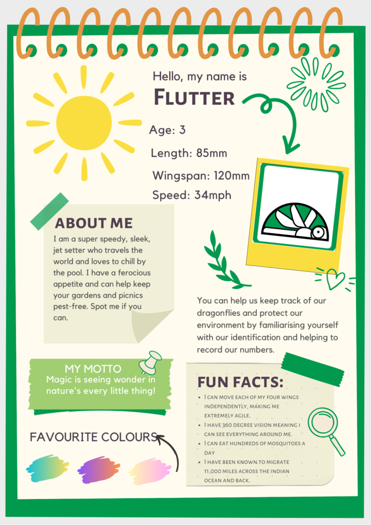 A small image of the descriptive poster which tells people all about the Nature Trails character Flutter.