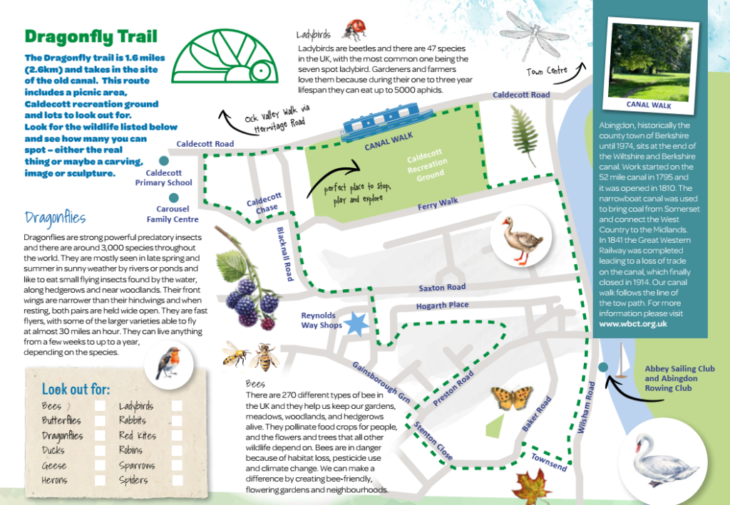 A graphic showing the dragonfly trail around south Abingdon, including the key features of the trail.