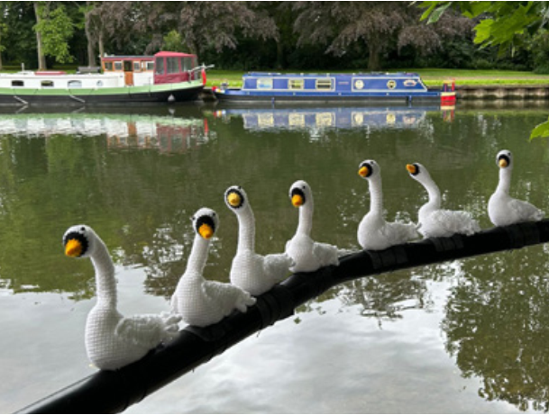 A photo of a row of knitted swans by the River Thames in Abingdon